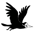 A gif of a black bird in flight wearing a mask.